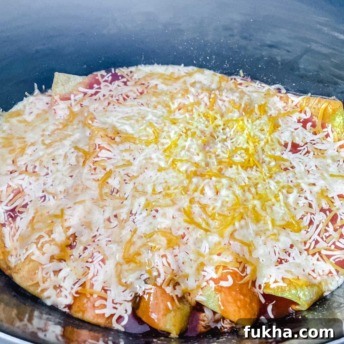 Slow Cooker Shredded Chicken Enchiladas 14 Cheese is melted over the chicken enchiladas.