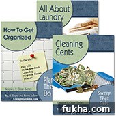 Cut Kitchen Cleaning Time in Half with One Trick 3 How To Organize And Clean Your Home E-books - Get Organized And Reduce Stress!