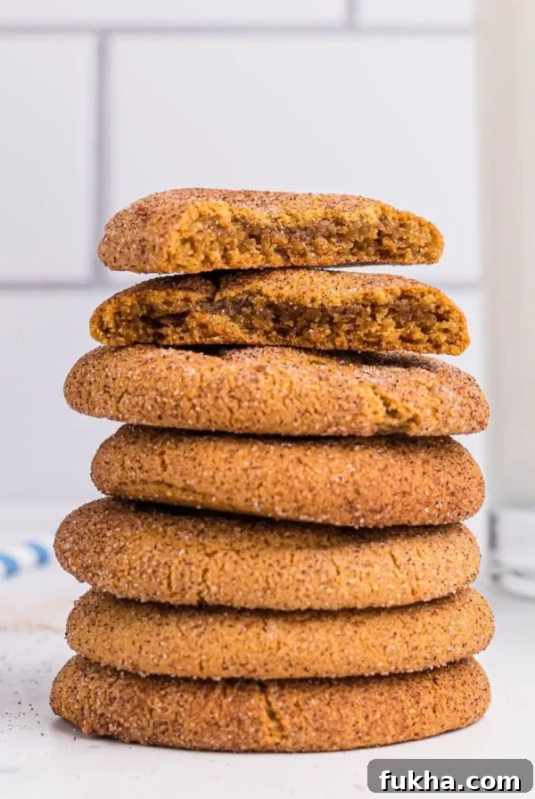 Air Fryer Cake Mix Cookies: Quick Chocolate Chip Recipe 10 Gingersnap cookies