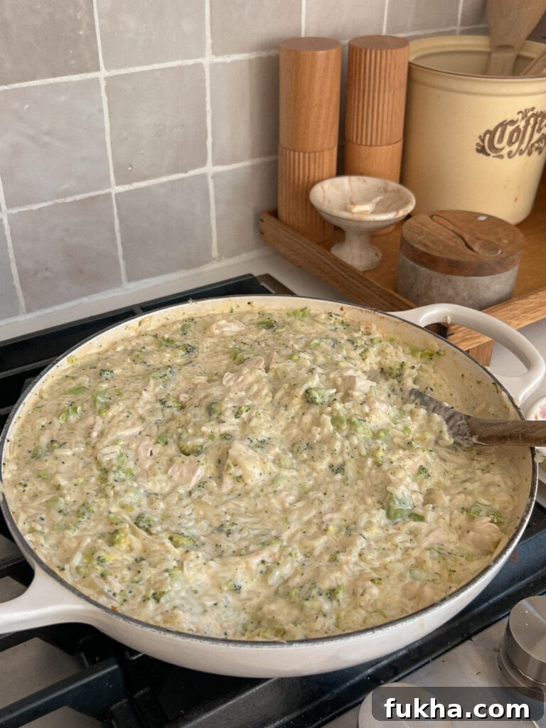 Spoonful of cheesy chicken and broccoli rice