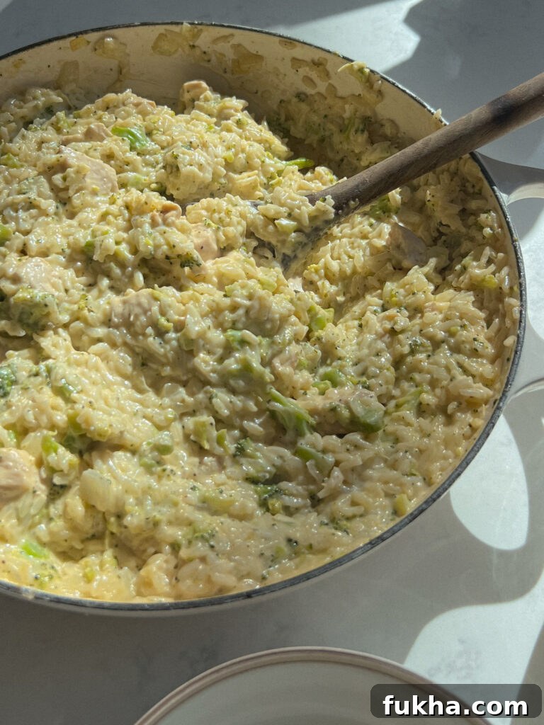 Plated one-pan cheesy chicken and broccoli rice