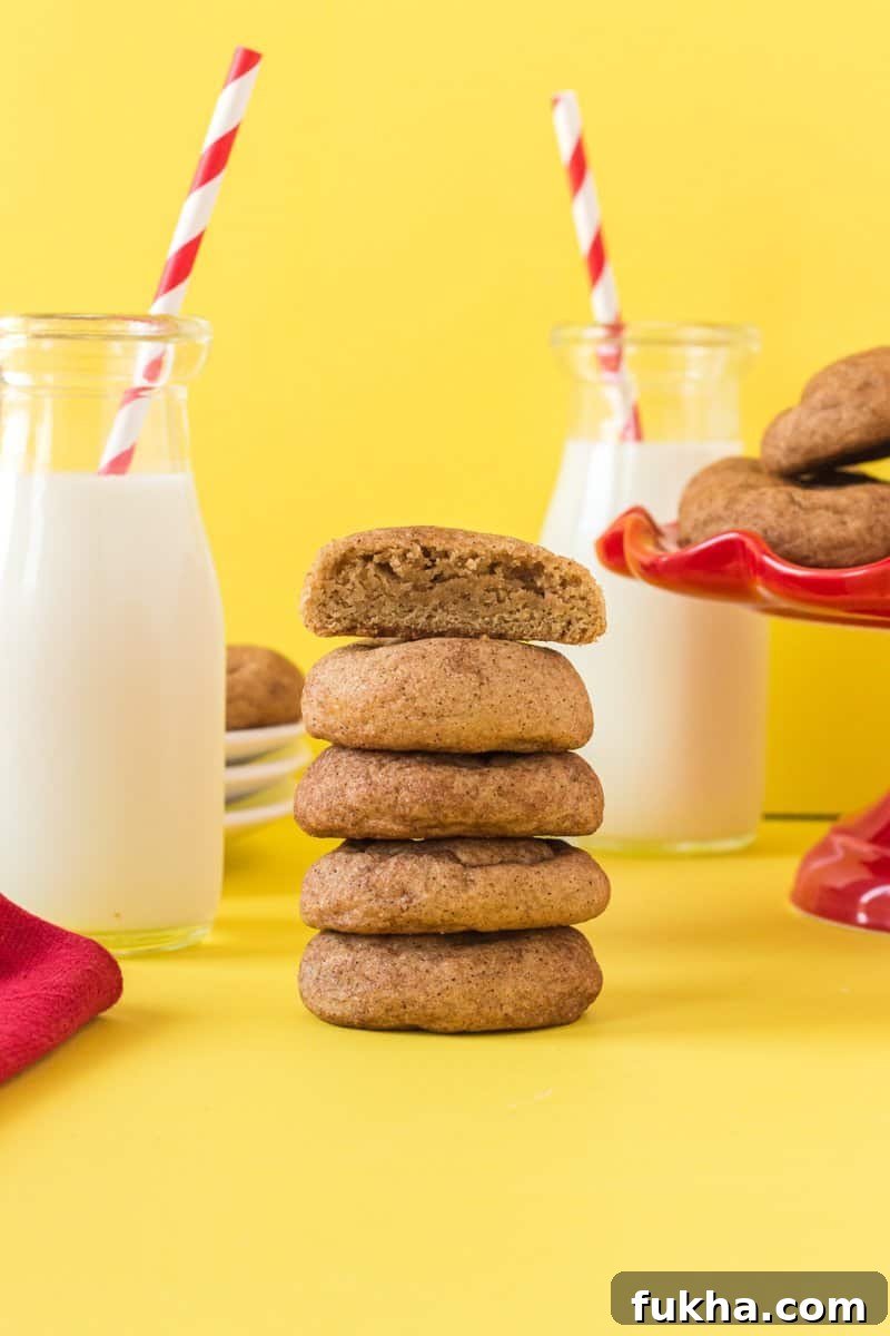 Churro Cookies